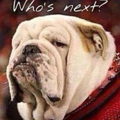 JDDawgWalker111's profile picture. 4th time here saved sinner, elite southern gentleman, Pop, Dad
