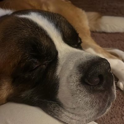 Sierra.Lininger Profile