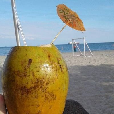 LucasVensot's profile picture. 35 Male