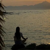 Iris Dobric (@iris86622271807) 's Twitter Profile