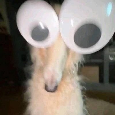 unusamas35929's profile picture. 