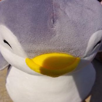 scarmanv's profile picture. 