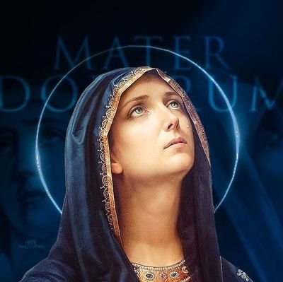 AGColatto's profile picture. 