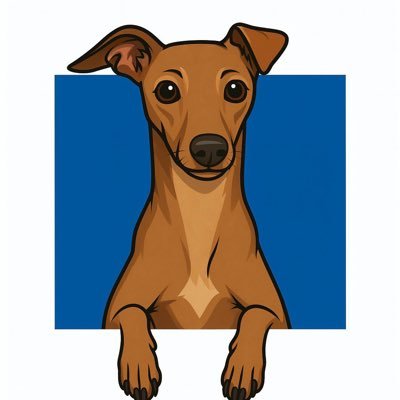 The Dog of Base 🟦 0x402FB5a74865af5863E099236151F19E04b95868