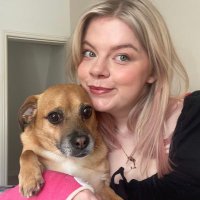 lucy (@lucebernie) 's Twitter Profile Photo lucy (@lucebernie) 's Twitter Profile Photo