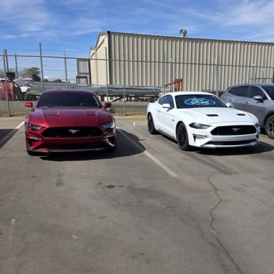 Turqezz's profile picture. In college fuckin on yo momma