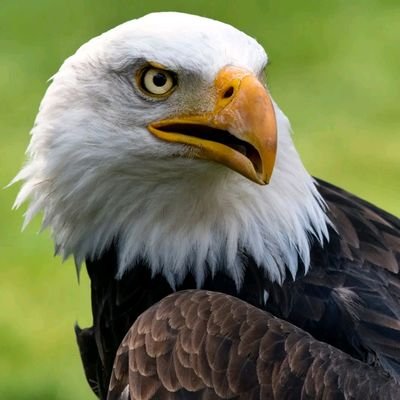 MaryJames272707's profile picture. Let's chat and see