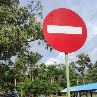 JamesT83493's profile picture. ayam jantan