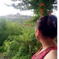 Simyacı'nın Seyir Defteri (@witchsdiaries) 's Twitter Profile