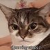 Picadillosopa (@picadillos85196) Twitter profile photo Picadillosopa (@picadillos85196) Twitter profile photo