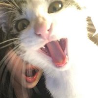 Summer Dean (@7vap83iu1ut84c) 's Twitter Profile