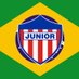 Junior Brasil (@juniordebaqbra) Twitter profile photo Junior Brasil (@juniordebaqbra) Twitter profile photo