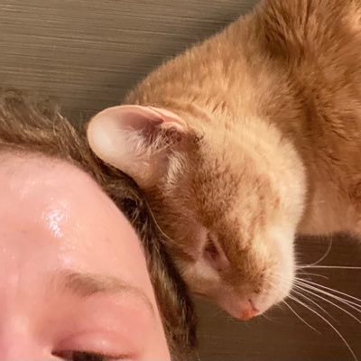 dollsplastica's profile picture. 