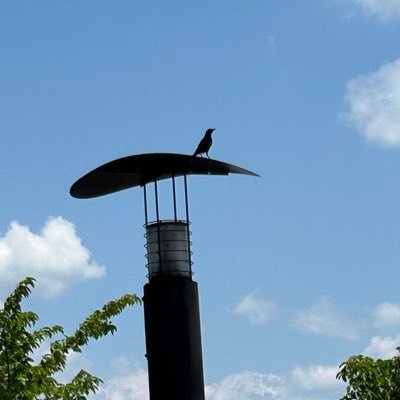 SventhSum's profile picture. よろしくお願いします。
