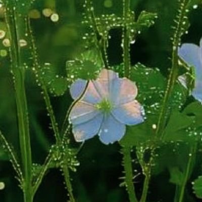 maknaeline_9795's profile picture. #JUNGKOOK
#BTS