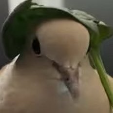 slyy_bblue's profile picture. blue•30+🏳️‍🌈• nsfw 18+ only 🔞🌶🔥 visi nepilnamečiai vaikai bus uždrausti ❌ all my art is moved to bsky