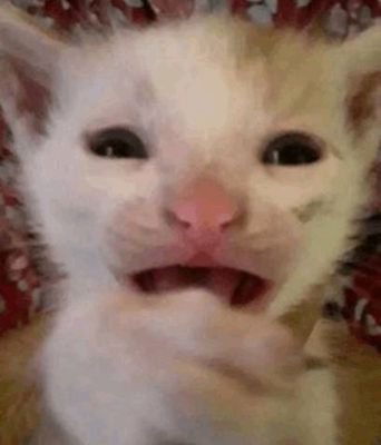 Saul3_3_3's profile picture. IDK