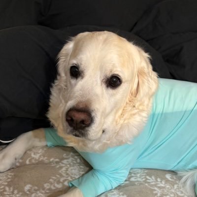北海道民❄️/愛犬🐶と夫👨と3人暮らし/食べるの大好き家族🍚→今はダイエット中💪/2025年1月~懸賞応募始めました/無言フォロー失礼いたします/無言フォロー大歓迎