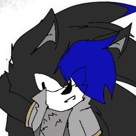🐺Ryoku The Hedgehog✨さんのプロフィール画像