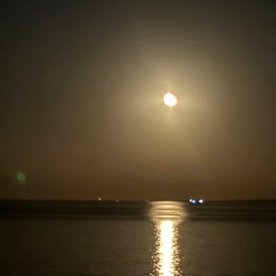 xainjarrar's profile picture. 