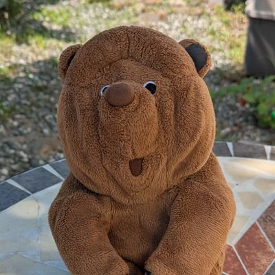 知的障害を伴うASDの息子がいます。コロナ禍で二次障害に。
社交不安障害。強度行動障害。
支援学校行ってます。病院かかってます。服薬してます。心理相談もしてます。福祉つながってます。