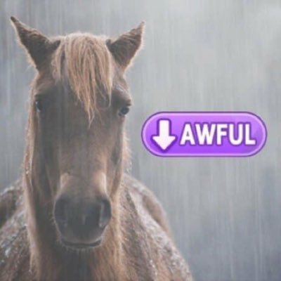 moonchildkzh's profile picture. Hello! - she/her - 21 yo