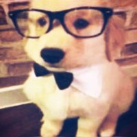 eo..❤︎ (@babyleogood) 's Twitter Profile Photo eo..❤︎ (@babyleogood) 's Twitter Profile Photo