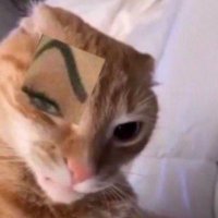 em (@supertrue01) 's Twitter Profile