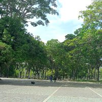 rory (@rory847514) 's Twitter Profile