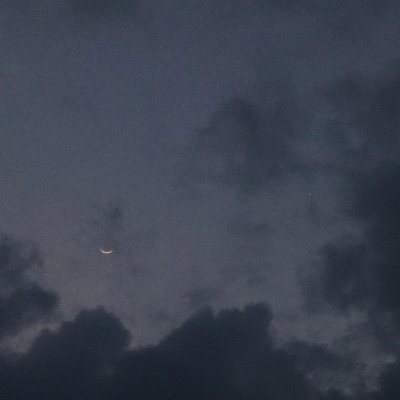 ArifKha11069546's profile picture. 🇵🇸 PALESTINE WILL BE FREE ❤️‍🩹❤️‍🩹❤️‍🩹