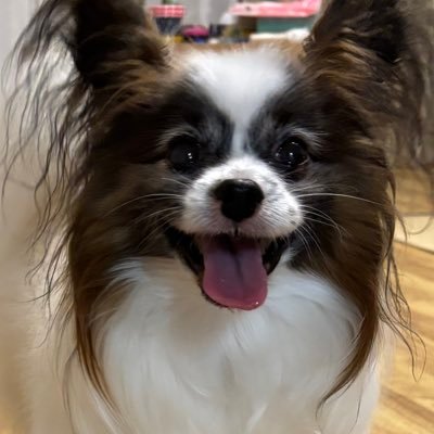 莉凡（りぼん）さんのプロフィール画像