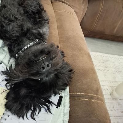 JamieShirey3's profile picture. 