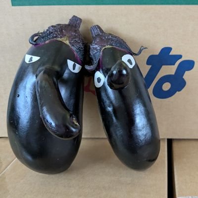 yasainouka27's profile picture. 宮城県無加温ハウス栽培ナス🍆アレッタ🥦　春菊🌿　
画像名前無断使用ご遠慮願います🗡️👹💢☺️💢👹🗡️DM要りません😉