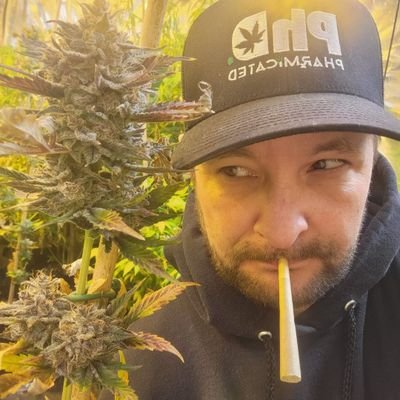 Accept warm greeting from us we are UK's Canabis Dispensary, we bring solutions to all your health problems.
Check us out 👇👇👇👇👇
https://t.co/DiDDnl0gb0