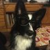 damian 🐾 (@devoutdogboy) Twitter profile photo damian 🐾 (@devoutdogboy) Twitter profile photo