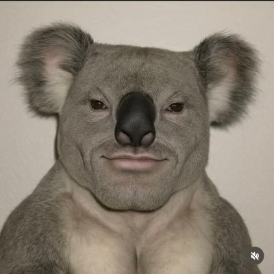 1onlyfn's profile picture. 