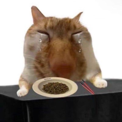 @xkflxkfl