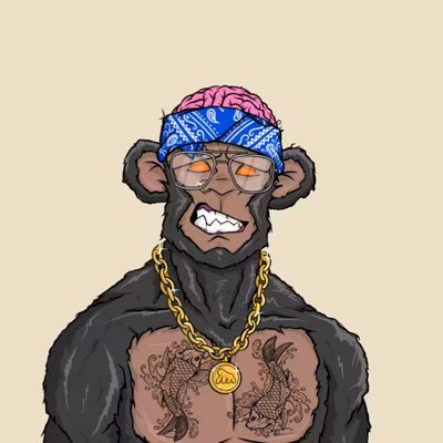 🦍+D Profile
