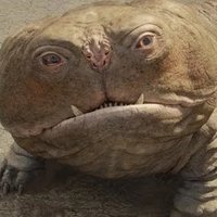 Suncode (@lou_the_suncode) 's Twitter Profile