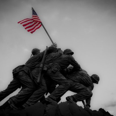only_USA_first's profile picture. Although tens of thousands of our proud sons and daughters safeguarded their freedom with their noble sacrifice, they have betrayed America.