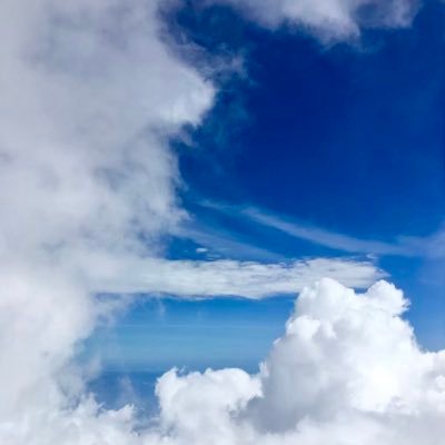 F2oaO's profile picture. 自然とゲームが好きです。ジャンルは雑多です。偶に重めの話題を出します。ボットと疑わしい場合はブロックします🙏