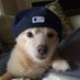 Eles Estรฃo DiOlho EmNois (@yvesiution) Twitter profile photo Eles Estรฃo DiOlho EmNois (@yvesiution) Twitter profile photo