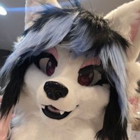 ClaytonTheWolf (@claytonthewolf) 's Twitter Profile