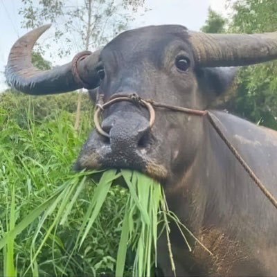 godblessZeen's profile picture. 