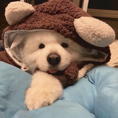 หนูดี x ภาระกิจจบลงแล้ว 🐢&🐰&☀️+🌙=💫さんのプロフィール画像