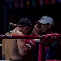 Letin Huynh (@letin_huynh) 's Twitter Profile