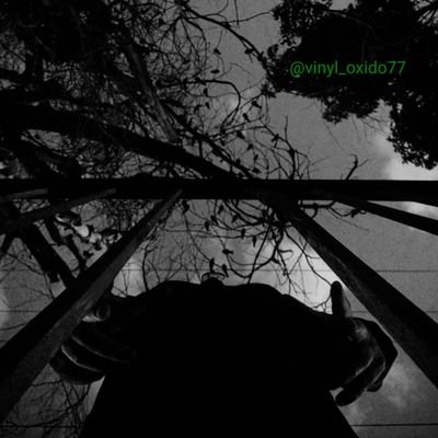Artista visual, antropología del rock, UNAM, México. Lp, CD y cassette en fotografía. Post punk, rock en español, DC, Star Wars, autos monoplaza.