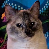 Mikey925 (@mikey9251) 's Twitter Profile Photo Mikey925 (@mikey9251) 's Twitter Profile Photo