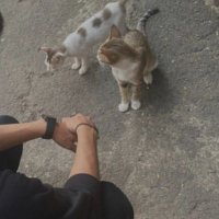 thirt33n (@aakshaaad) 's Twitter Profile