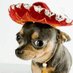 El Ruso | тако время (@wttc_en_ru) Twitter profile photo El Ruso | тако время (@wttc_en_ru) Twitter profile photo